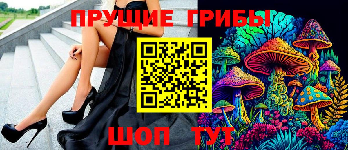 Псилоцибиновые грибы ЛСД  Вход с VPN  купить закладку  Чернушка 